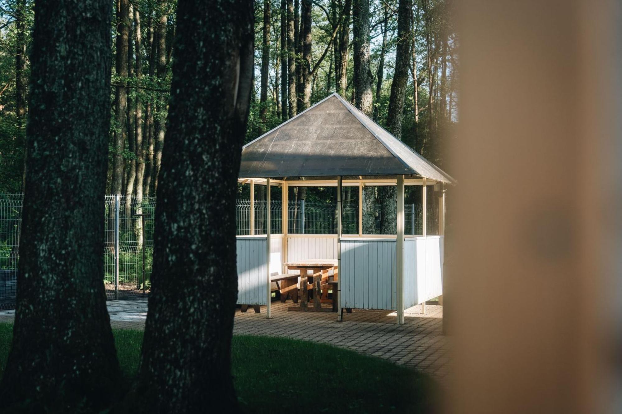 Nemirseta Forest Apartments Palanga Kültér fotó